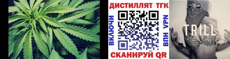 ТГК концентрат Инза