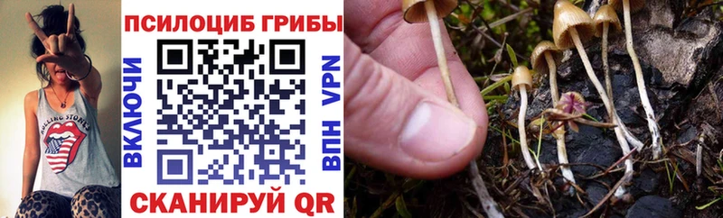 Псилоцибиновые грибы MAGIC MUSHROOMS  Купить где  Инза 